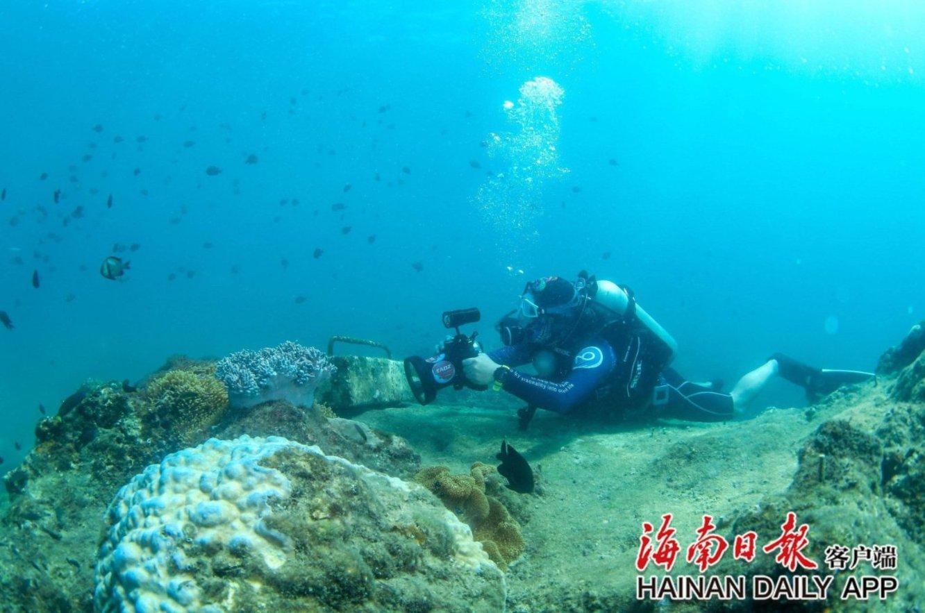 燃烧吧大脑免广告最新版